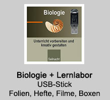 Seilnacht Biologie