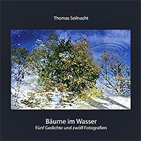 Bäume im Wasser