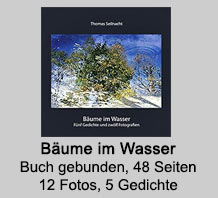 Buch: Thomas Seilnacht: Bume im Wasser